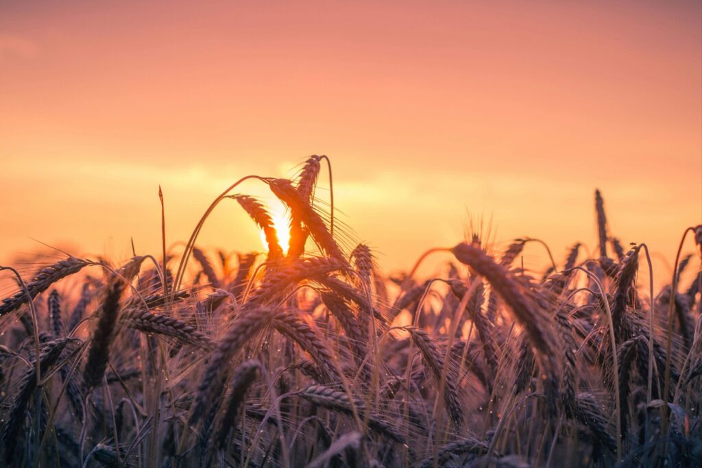 Tend To Yourself Thursday {8/1}: Seeing Life From A Place Of Rested | Therapist Near Me