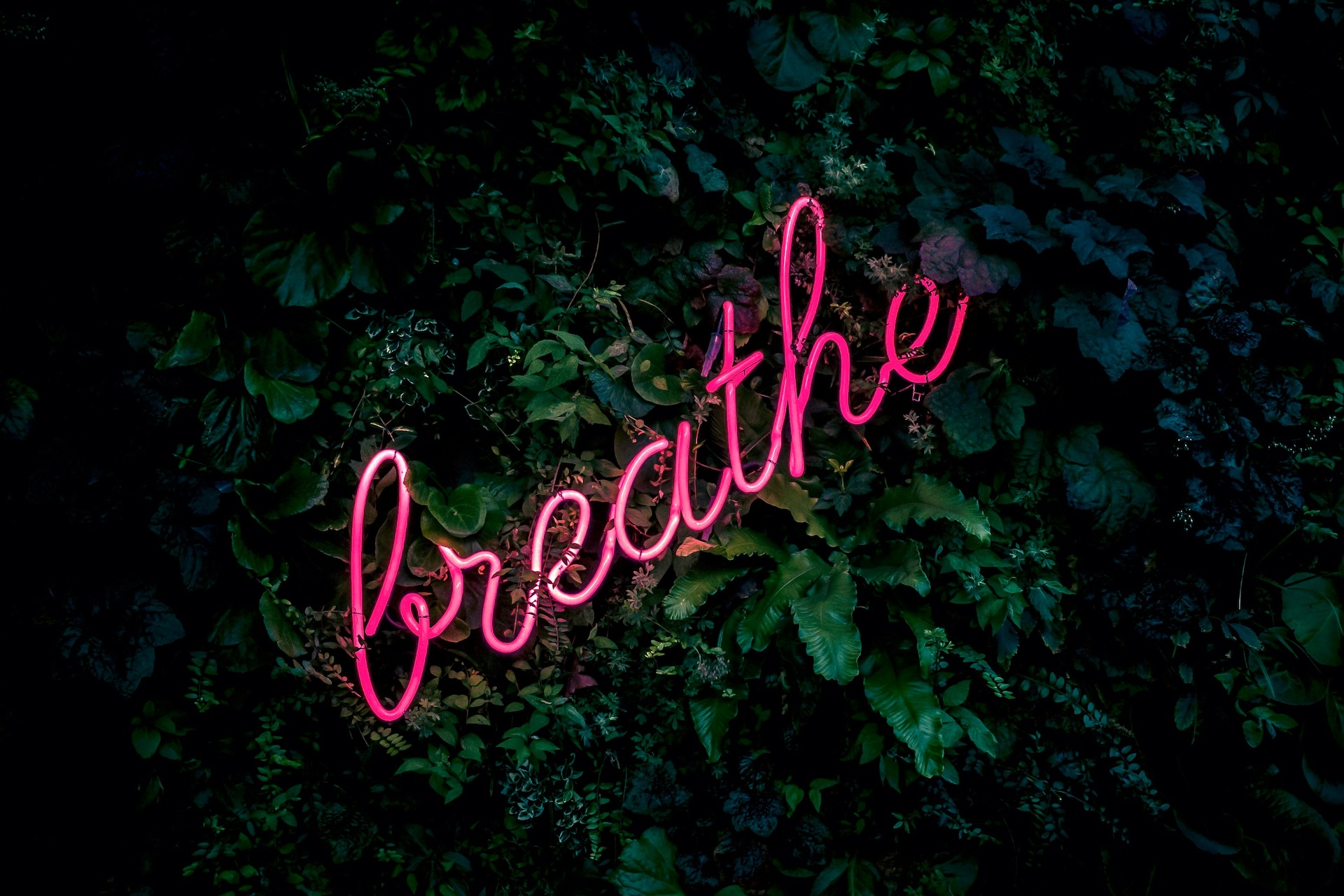 Tend To Yourself Thursday {6/26} How To Actually Breathe | Oakland Therapist
